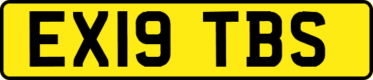 EX19TBS