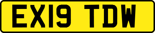 EX19TDW