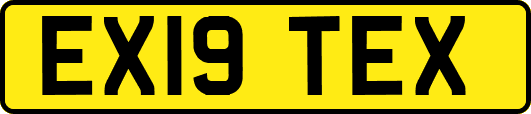 EX19TEX