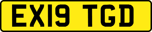 EX19TGD