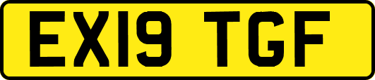 EX19TGF