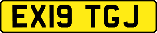 EX19TGJ