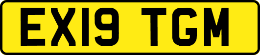 EX19TGM