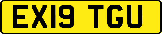 EX19TGU