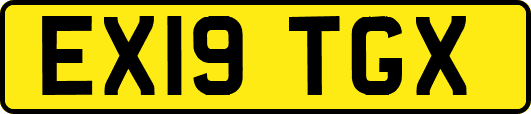 EX19TGX