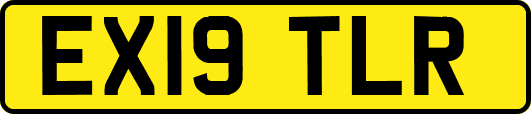 EX19TLR