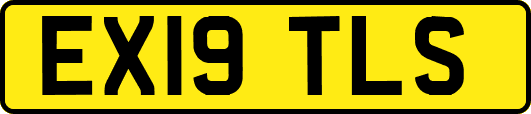 EX19TLS