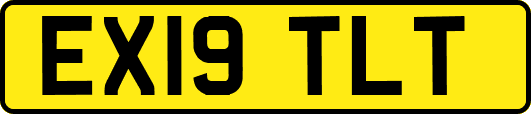 EX19TLT