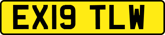 EX19TLW