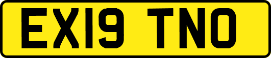 EX19TNO