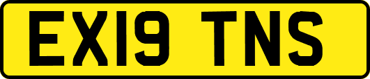 EX19TNS