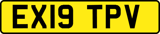 EX19TPV