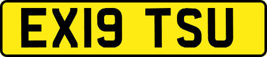 EX19TSU