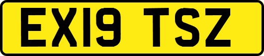 EX19TSZ