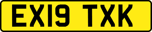 EX19TXK