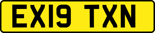 EX19TXN