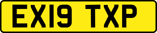 EX19TXP