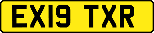 EX19TXR