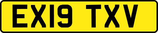 EX19TXV