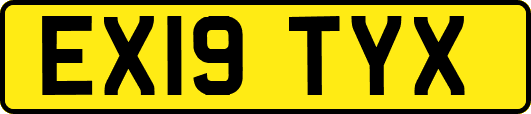 EX19TYX