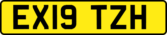 EX19TZH