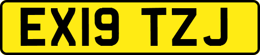 EX19TZJ