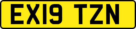 EX19TZN