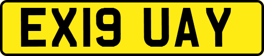 EX19UAY