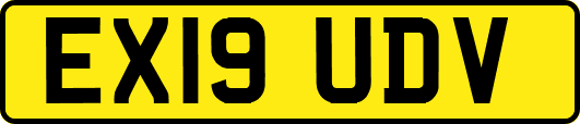 EX19UDV