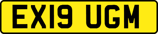 EX19UGM