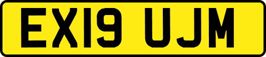 EX19UJM