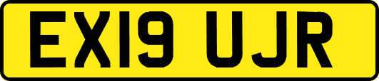 EX19UJR