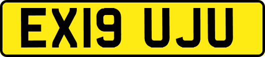 EX19UJU