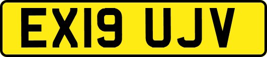 EX19UJV