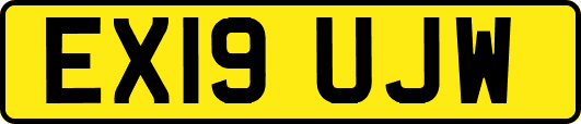 EX19UJW