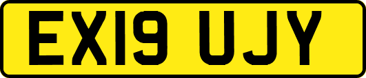 EX19UJY