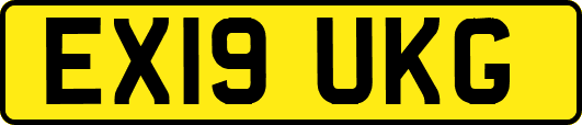 EX19UKG