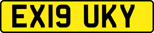 EX19UKY