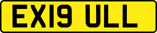 EX19ULL