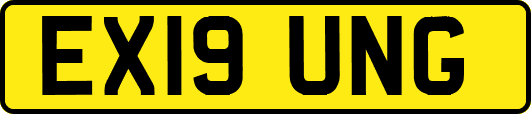 EX19UNG