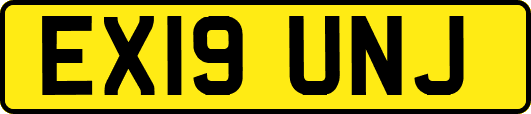 EX19UNJ