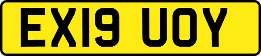 EX19UOY