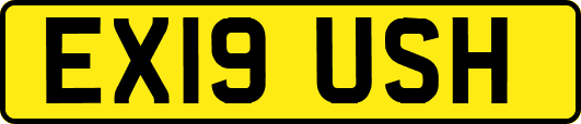 EX19USH