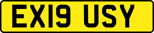 EX19USY