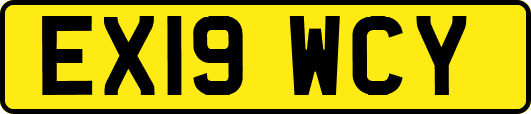 EX19WCY