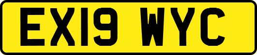 EX19WYC
