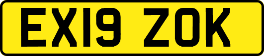 EX19ZOK