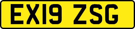 EX19ZSG