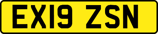 EX19ZSN