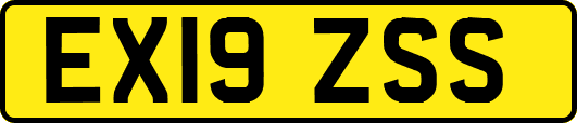 EX19ZSS